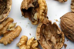 Walnuts