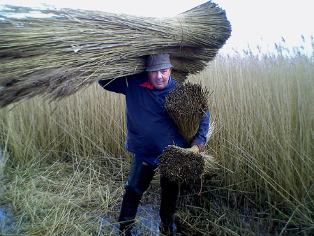Eric the Reedcutter by Eamon McCabe