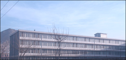 ليليه دانشگاه کابل