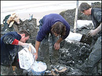 Encasing the skeleton in plaster