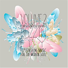 Review of Buzzin Fly Volume 2 Review of Buzzin Fly Volume 2