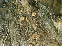 Treebeard, by Alan Lee