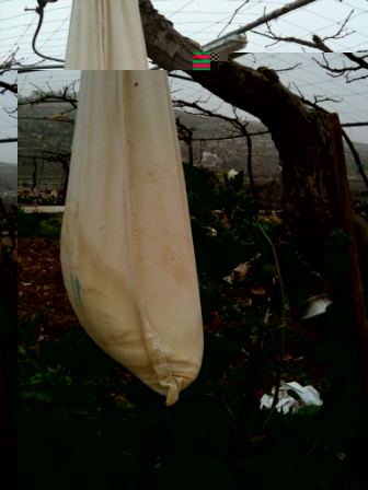 For example, we produce yoghurt by filtering the milk in special bag