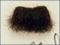 Christies 2004
