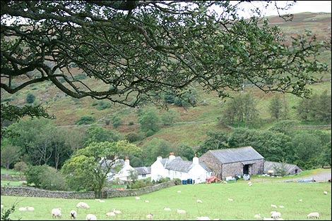 A farm in Eskdale taken on holiday. Phil Riley 