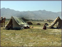 کوچيان
