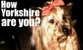 How Yorkshire are you?