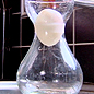 An egg in a bottle