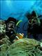 Claire and friend Czarina Rae 'finding Nemo' off the Great Barrier Reef