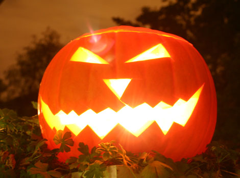 Pumpkin