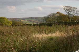 The moors near Haworth