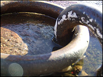 Chain
