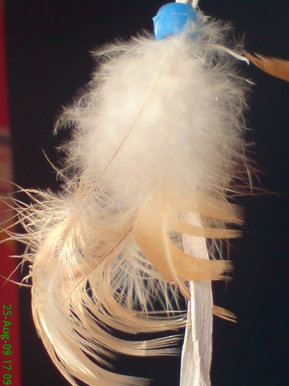 Feather