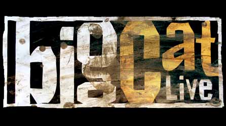 Big Cat Live Big Cat Live logo