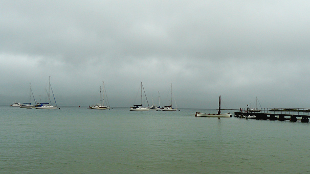Yachts moored off Gigha
