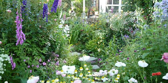 High Summer at Eldenhurst