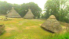 Iron age huts