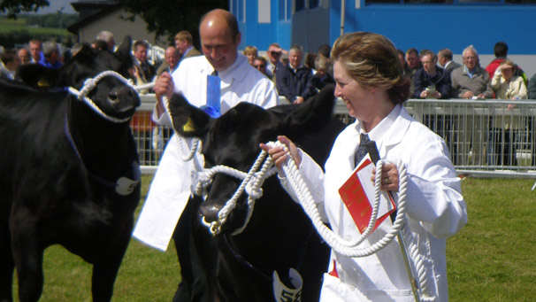 Belhaven Eston Ecosse G023, the winner of the Aberdeen Angus class 'Female born on or before 1st January and 31st March 2007', shown by Messers J Gilmour & Co Ltd.