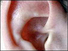 An ear
