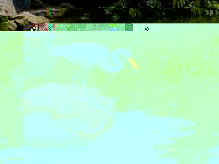 Lake in Pedra da Cebola or Onion Rock