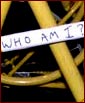 A very good question