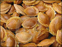د زردآلو زړي