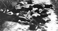 Massacred bodies of women and children 