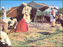 کوچيها