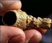 A sailor's pipe