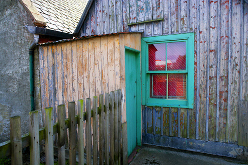 Colour: contrasts alt text