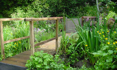 Wetland Edge
