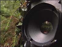 Hide camera