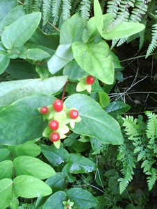 Shelter from the Rain