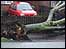 An uprooted tree in Norwich: link.