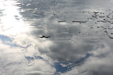 Spring is Almost Sprung