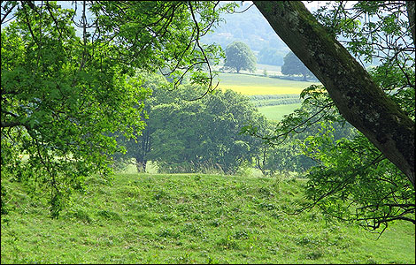 Badbury Rings - Barry Quince