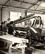 Tomato graders c 1955