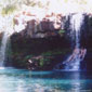 A refreshing shower - Oz style