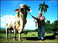 Fazenda