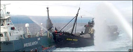 Clash over whaling in Southern Ocean