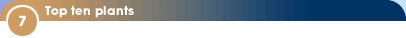 7 - Top ten plants