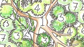 takeaway design idea from the As You Liek It garden