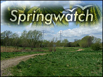 Sinfin nature reserve/Springwatch