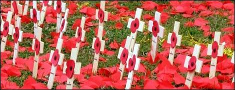 Poppies and crosses