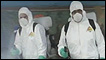 Combate à gripe H1N1 no México