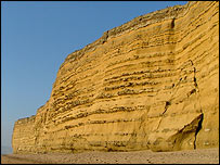 Hive Beach - Jurassic Coast