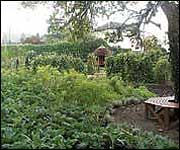 Vicarage garden 
