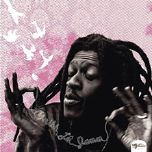 Review of Jamm Review of Jamm