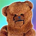 Bungle of TV's 'Rainbow' fame
