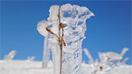 Snow scenes